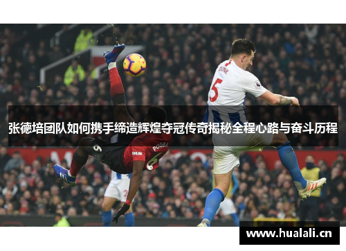 张德培团队如何携手缔造辉煌夺冠传奇揭秘全程心路与奋斗历程 张德培团队如何携手缔造辉煌夺冠传奇揭秘全程心路与奋斗历程